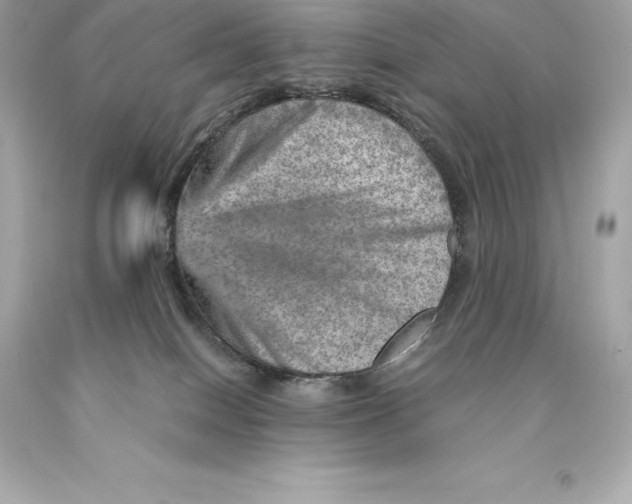 X0000093100086200710241230