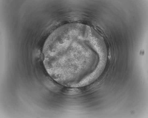 X0000093100087200710241230