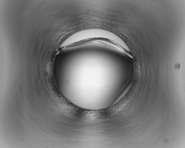 X0000093100088200710241230