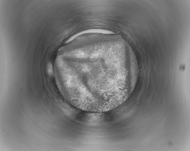 X0000093100089200710241230