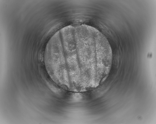 X0000093100091200710241230