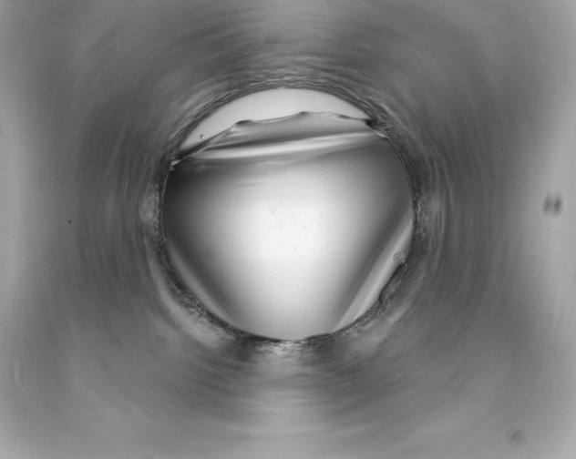 X0000093100092200710241230