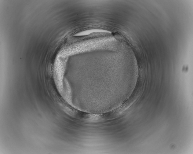 X0000093100093200710241230