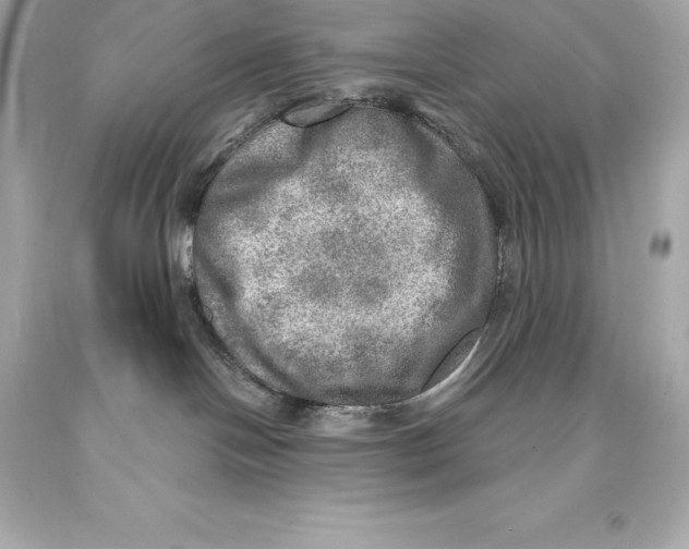 X0000093100094200710241230