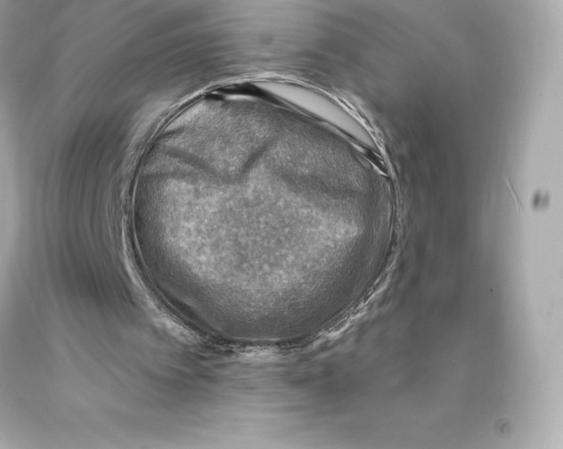 X0000093100097200710241229