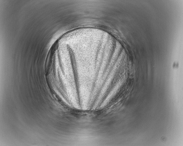 X0000093100099200710241229