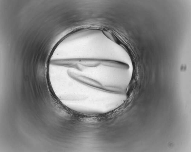 X0000093100100200710241229