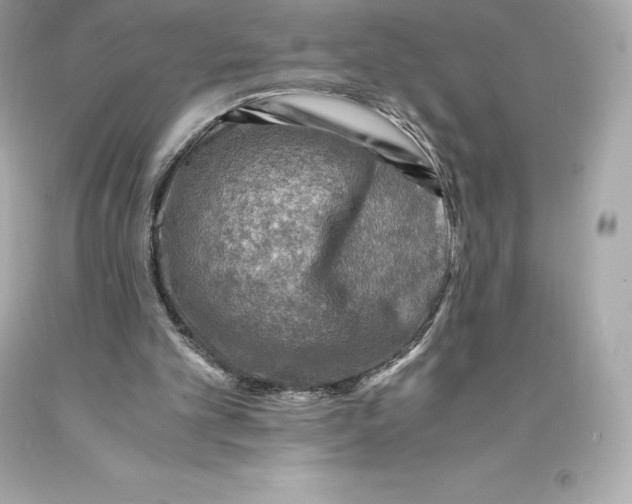 X0000093100101200710241229