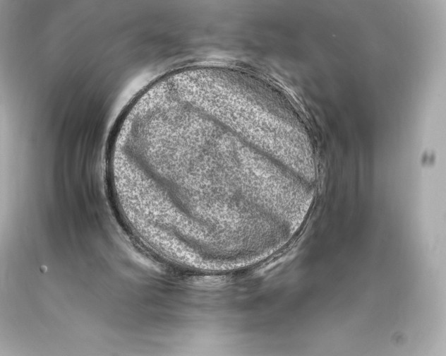 X0000093100102200710241229