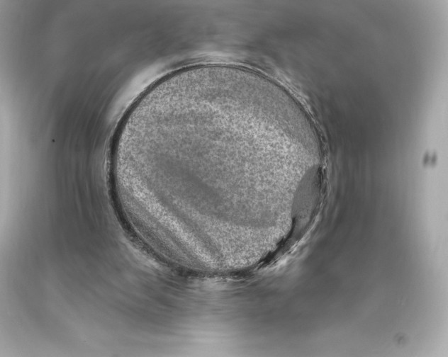 X0000093100103200710241229