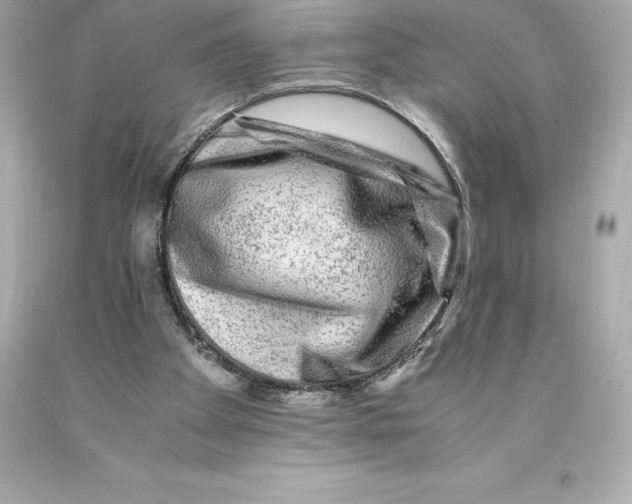 X0000093100105200710241229