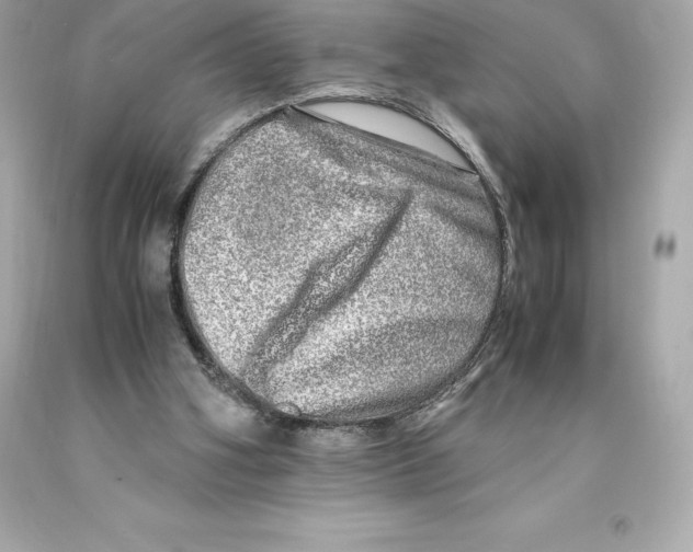 X0000093100106200710241229