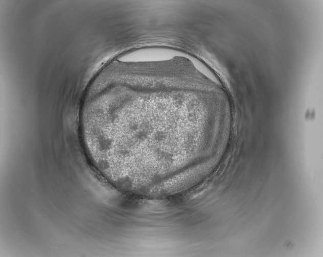 X0000093100107200710241229