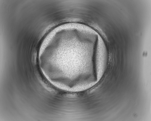 X0000093100110200710241229