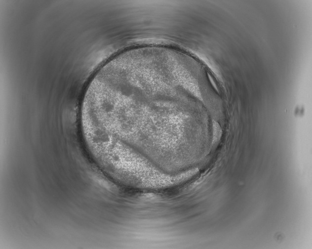 X0000093100111200710241229