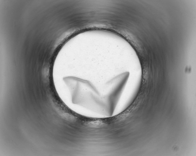 X0000093100112200710241229