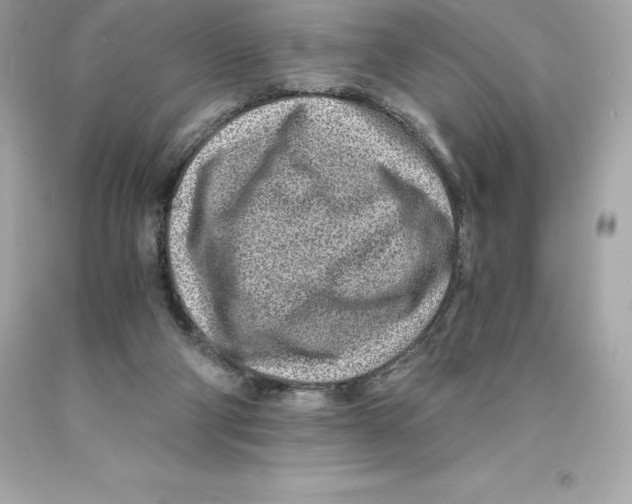 X0000093100114200710241229