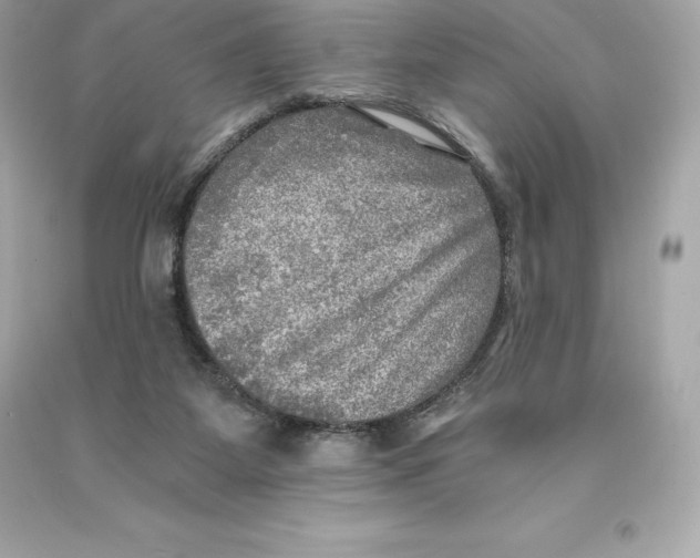 X0000093100115200710241229