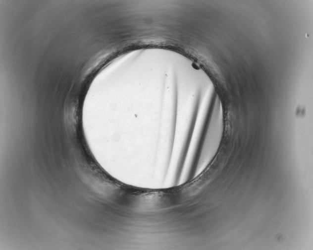 X0000093100116200710241229