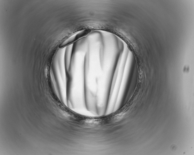 X0000093100117200710241229