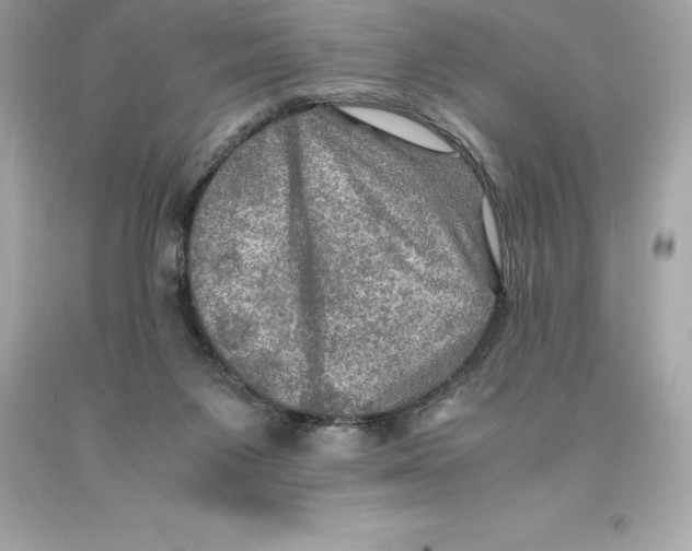 X0000093100119200710241228