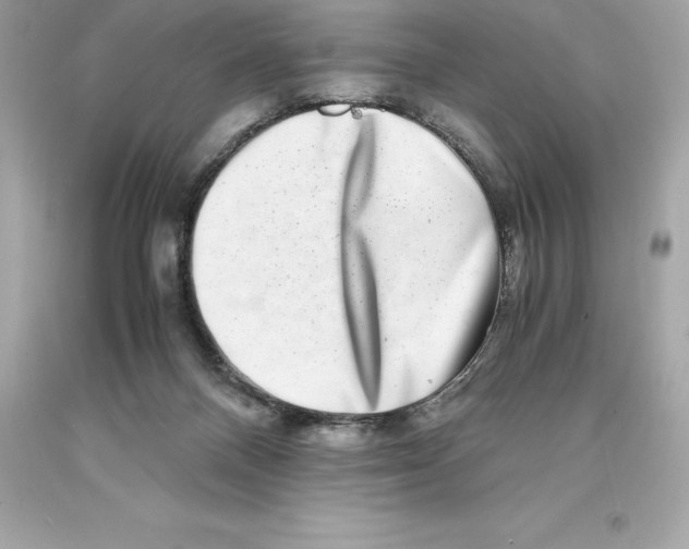 X0000093100120200710241228