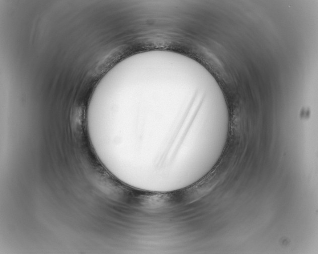 X0000093100122200710241228