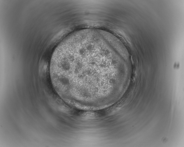 X0000093100123200710241228