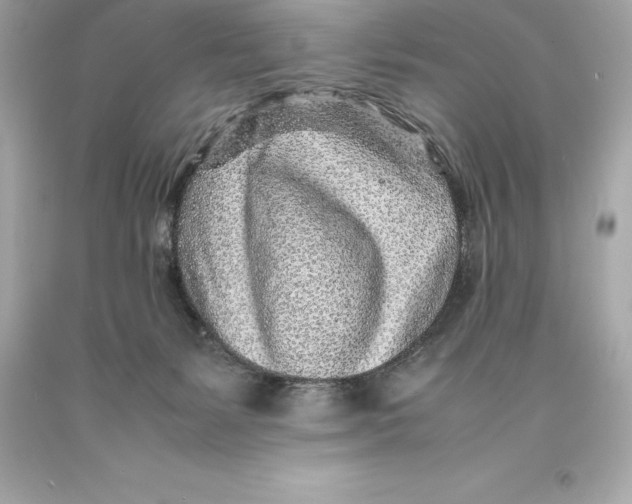 X0000093100127200710241228