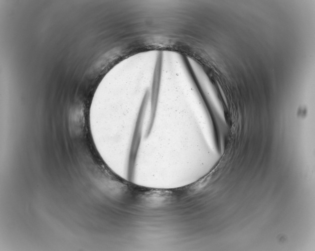 X0000093100128200710241228