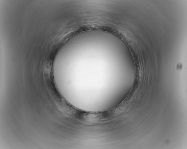 X0000093100129200710241228