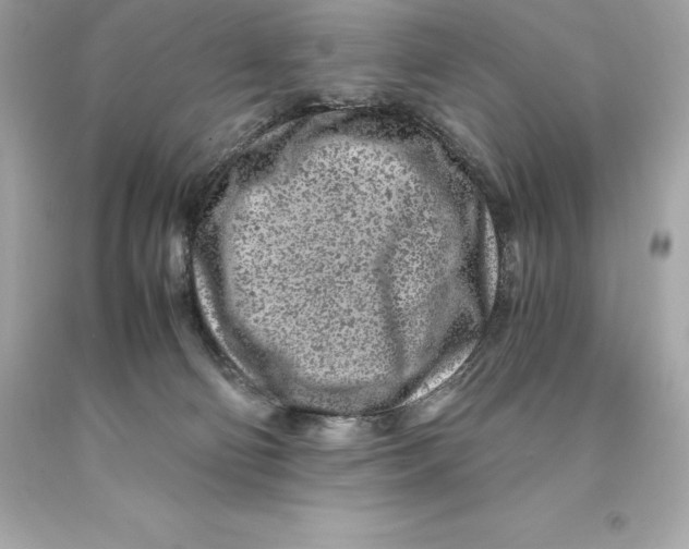 X0000093100130200710241228