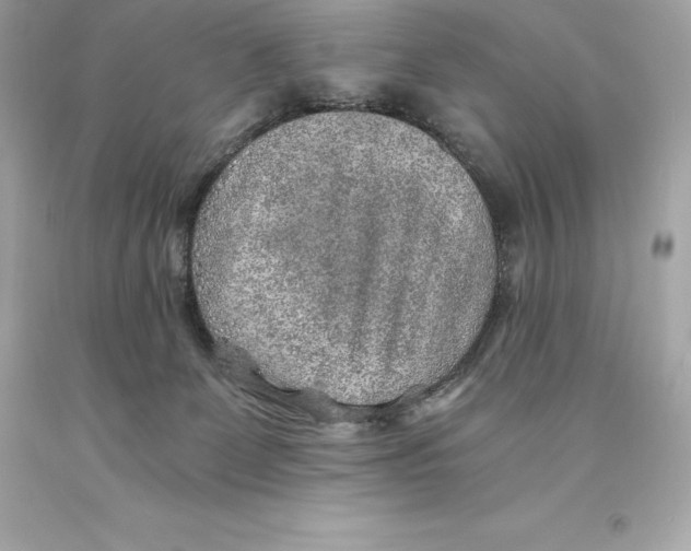 X0000093100131200710241228