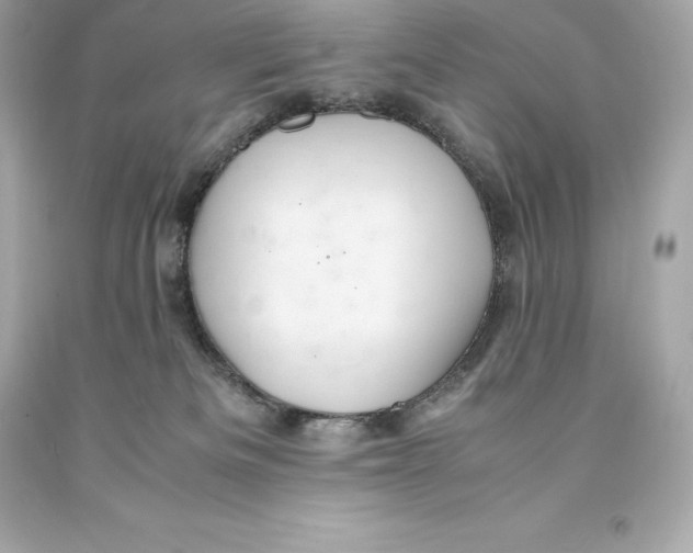 X0000093100133200710241228