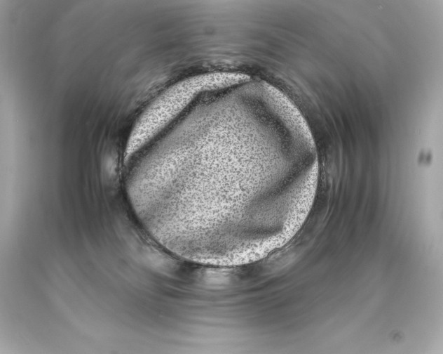 X0000093100134200710241228