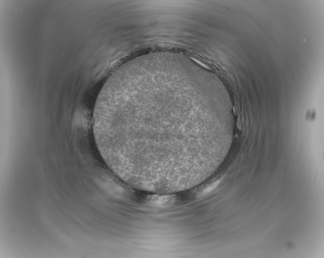 X0000093100135200710241228