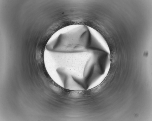 X0000093100136200710241228