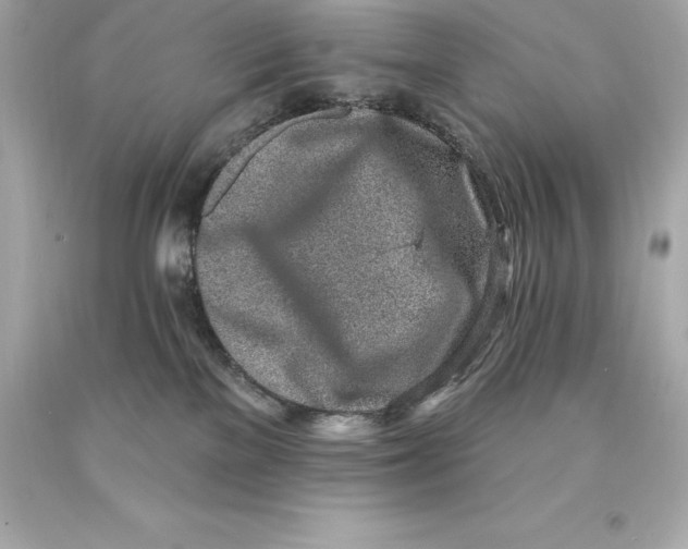 X0000093100137200710241228