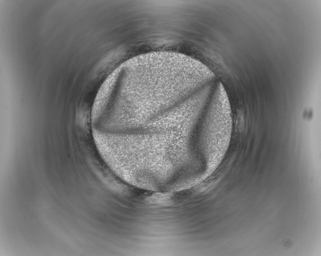 X0000093100138200710241228