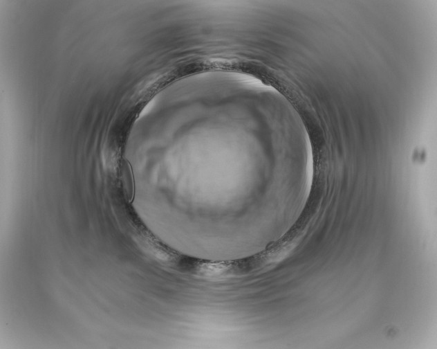 X0000093100139200710241228