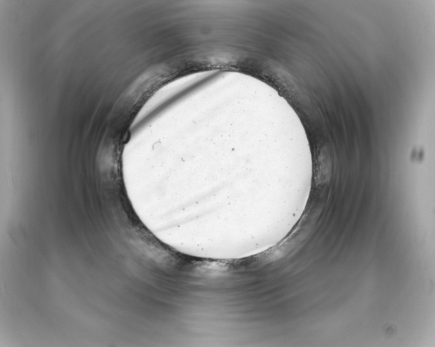 X0000093100140200710241228