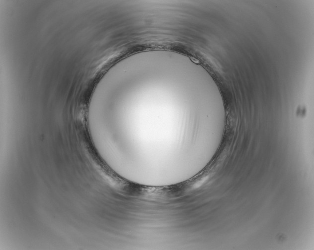 X0000093100141200710241228