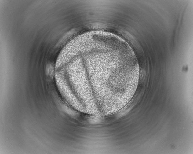 X0000093100142200710241228