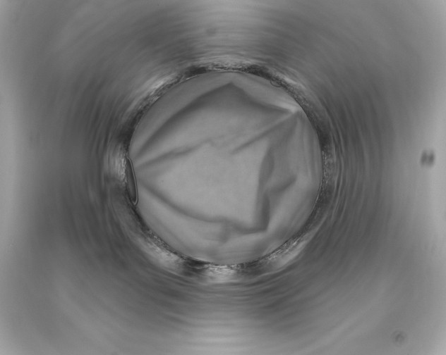 X0000093100143200710241228