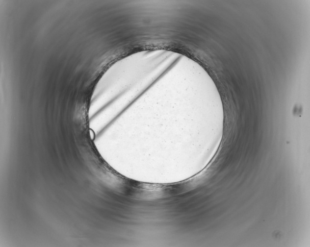 X0000093100144200710241228