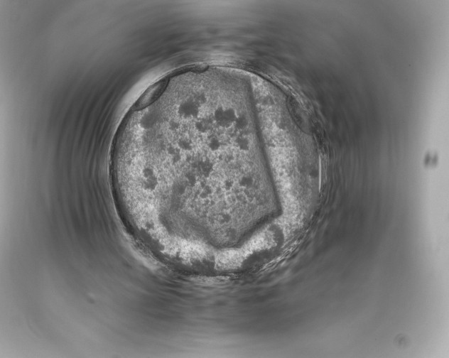 X0000093100147200710241228