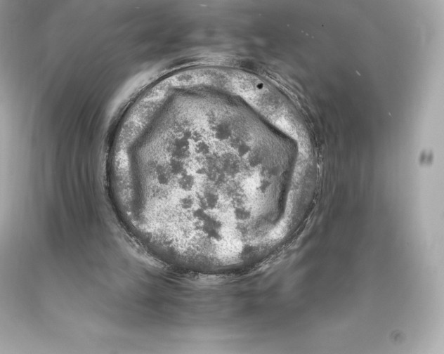 X0000093100149200710241228