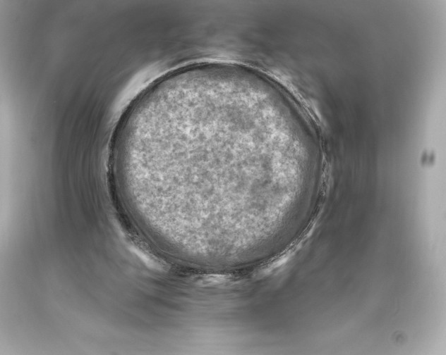 X0000093100151200710241228