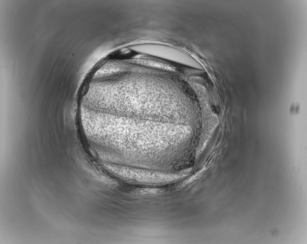 X0000093100152200710241228