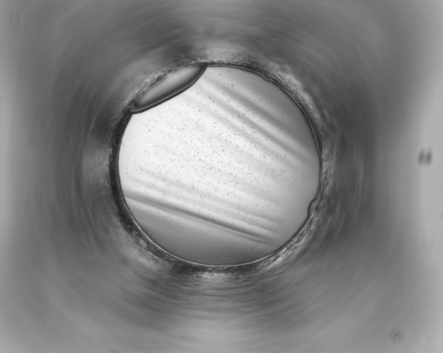 X0000093100154200710241228